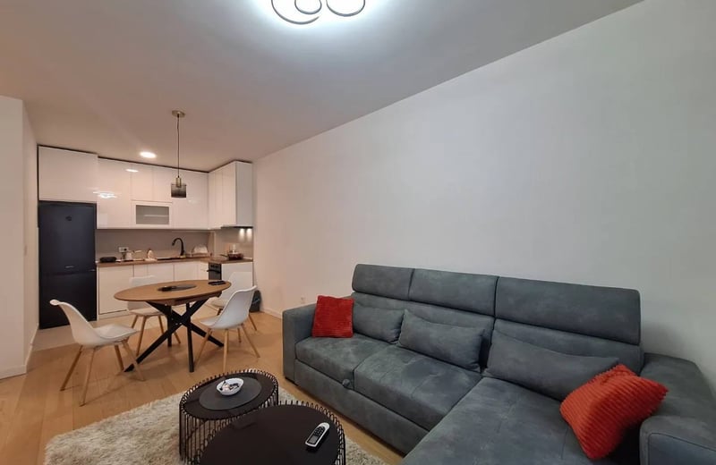 Аренда новой, меблированной 2-комнатной квартиры, 46 м², Новый Белград, Сербия